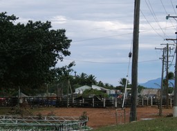 200607 012