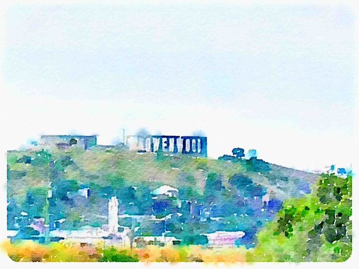 Bowenwood2