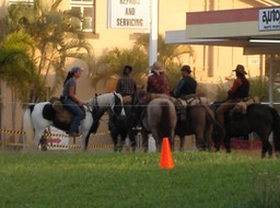 Drovers