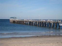 IMG_0869.JPG