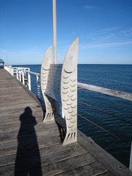 IMG_0870