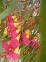 IMG_0882.JPG
