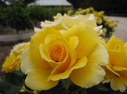 IMG_0883.JPG