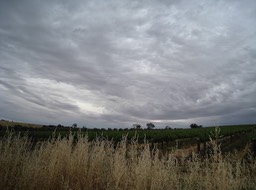 IMG_0888.JPG