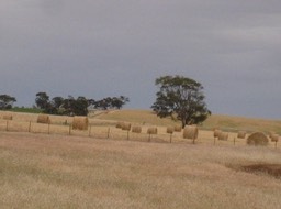IMG_0890.JPG