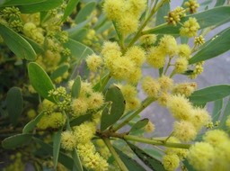 IMG_0893.JPG