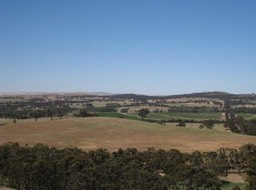 IMG_0902.JPG