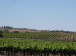IMG_0906.JPG