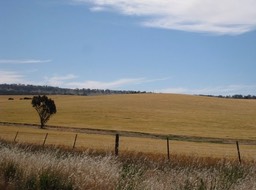 IMG_0919.JPG