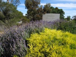 IMG_0920.JPG