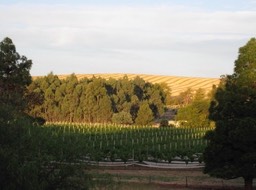 IMG_0928.JPG