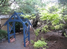 IMG_0932.JPG