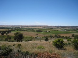 IMG_0940.JPG