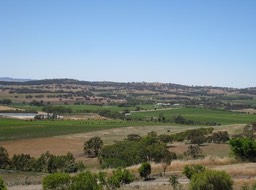 IMG_0942.JPG
