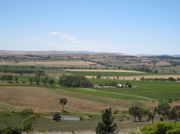 IMG_0943.JPG