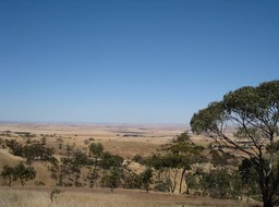IMG_0952.JPG