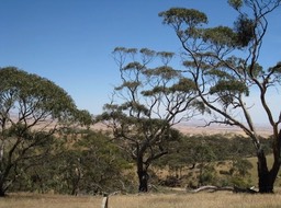 IMG_0953.JPG