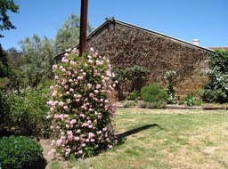 IMG_0957.JPG
