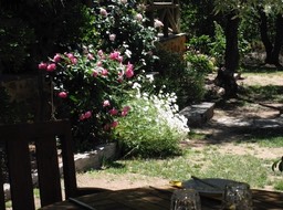 IMG_0964.JPG