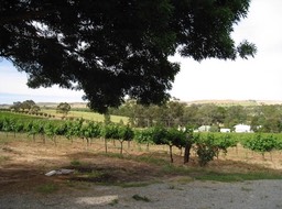 IMG_0977.JPG