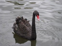 IMG_1036.JPG