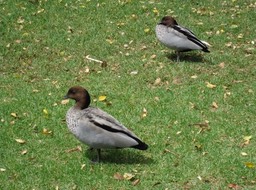 IMG_1058.JPG