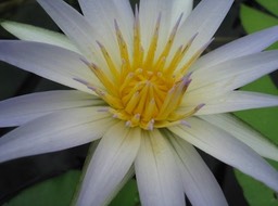 IMG_1059.JPG