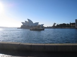 IMG_2333