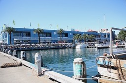 IMG_5884