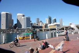 IMG_5891