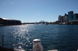 IMG_5901