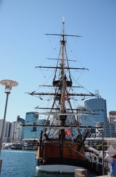 IMG_5903