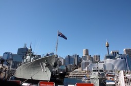 IMG_5906