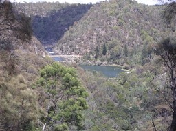 The Gorge, Launceston