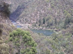 The Gorge, Launceston