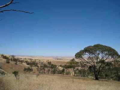 Looking West