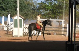 Nicole on horse