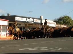 Outside Jochheims