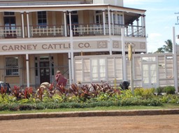 Reconstructing Carney's
