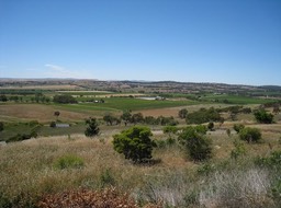 STB_0939.JPG