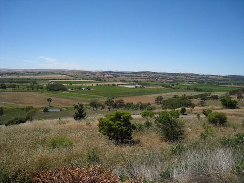 STB_0939.JPG