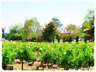 Waterlogue-2017-10-01-09-55-07